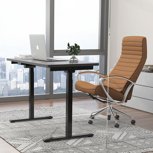 Sit-Stand Electric Desk with Tiltable Desktop & Hidden Storage Space